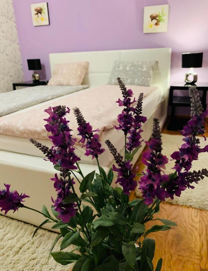 Casa Central Luxury أرادايا المظهر الخارجي الصورة